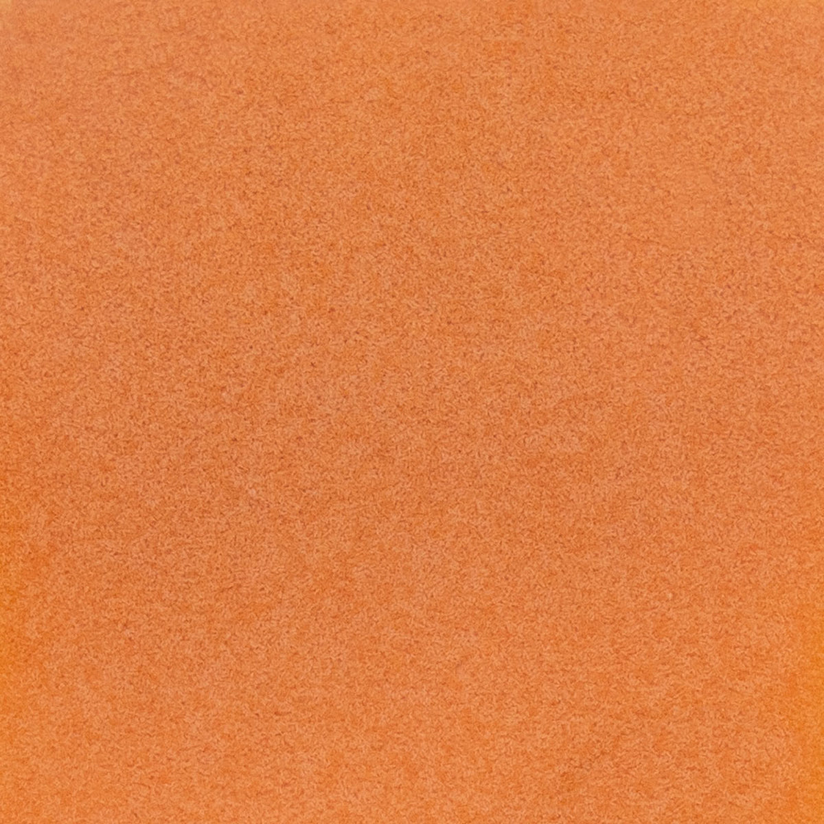 Ocean Nutrition Instant Baby Brine Shrimp 20 grams (0.7 oz) Fish Food