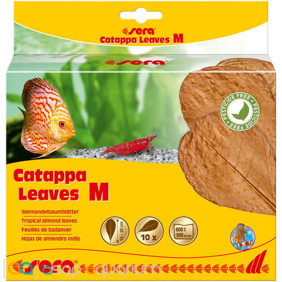 Sera Catappa Leaves Medium 18cm 10 pieces - www.ASAP-Aquarium.com