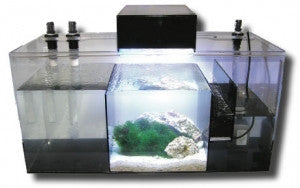 How to Pick the Best Filter for a Saltwater Aquarium