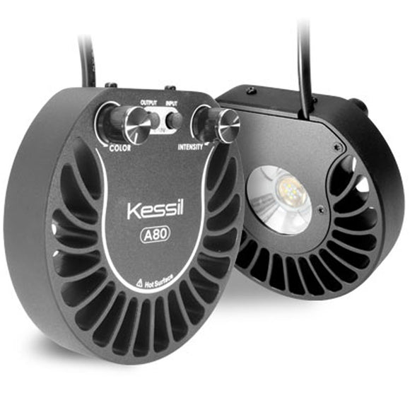 Kessil A80 Tuna Sun LED Light DOUBLE PACK Bundle - www.ASAP-Aquarium.com