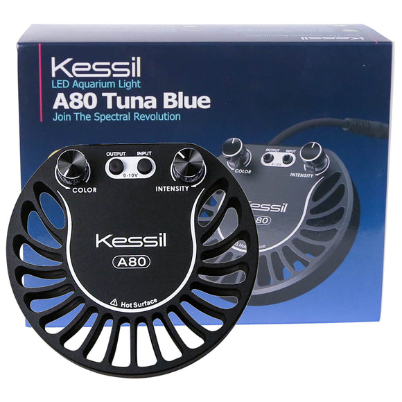 Kessil A80 Tuna Blue 15 Watt Saltwater Reef Aquarium LED Light - www.ASAP-Aquarium.com