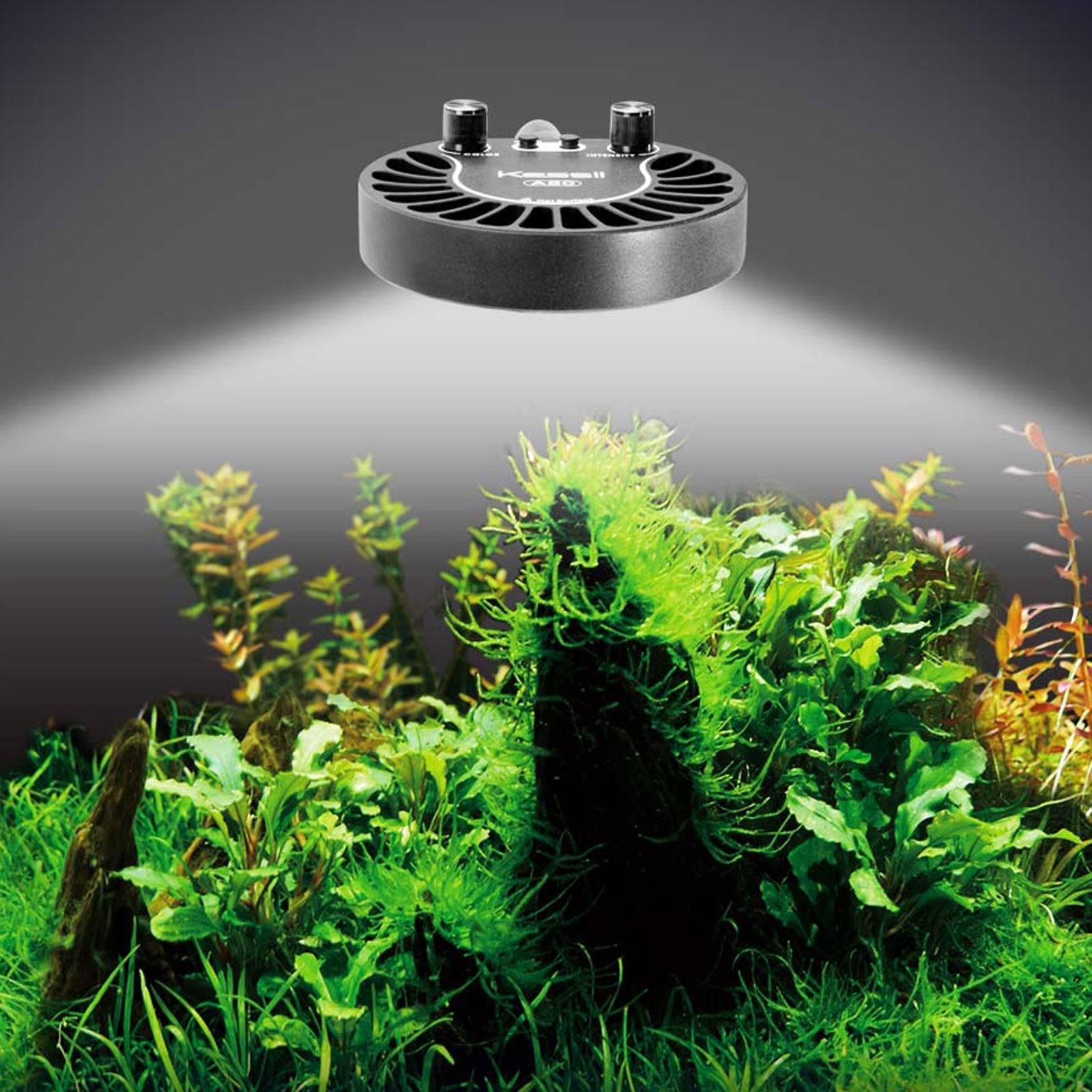 Kessil lights deals