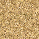 Sera Betta Granules 0.8oz / 24g - www.ASAP-Aquarium.com