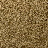 sera Discus ImmunPro Nature 1,000mL Growth Food For Discus - www.ASAP-Aquarium.com