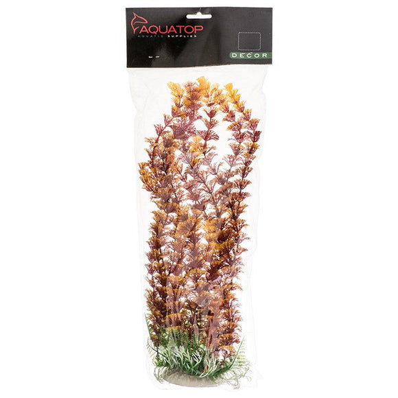 Aquatop Fire Cabomba Aquarium Plant 20