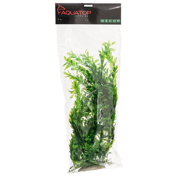 Aquatop Hygro Aquarium Plant Green 20