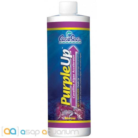 CaribSea Purple-Up Coralline Algae Accelerator 8 oz - www.ASAP-Aquarium.com