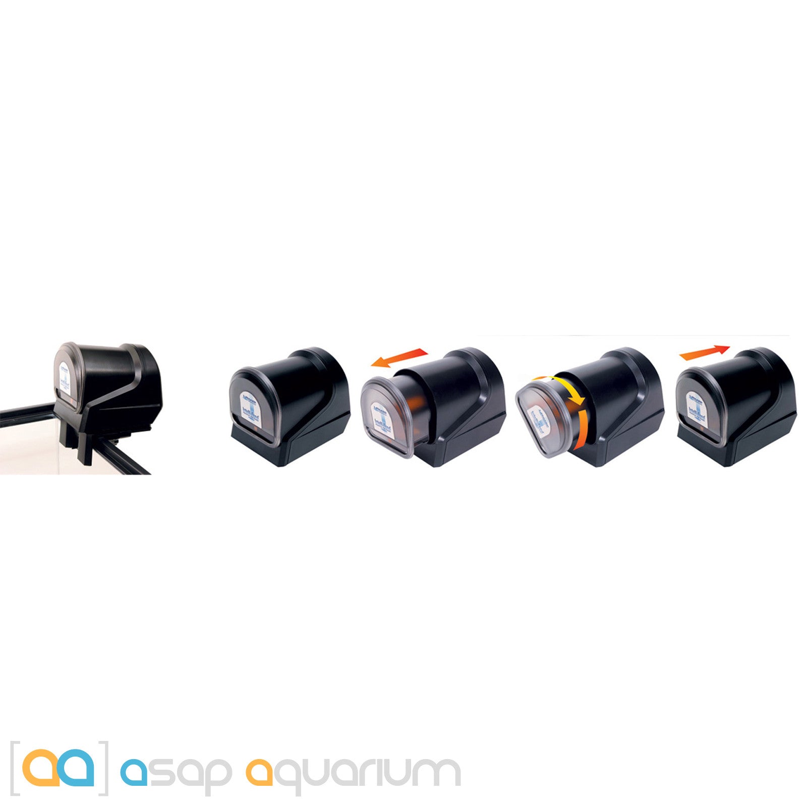 Intellifeed clearance fish feeder