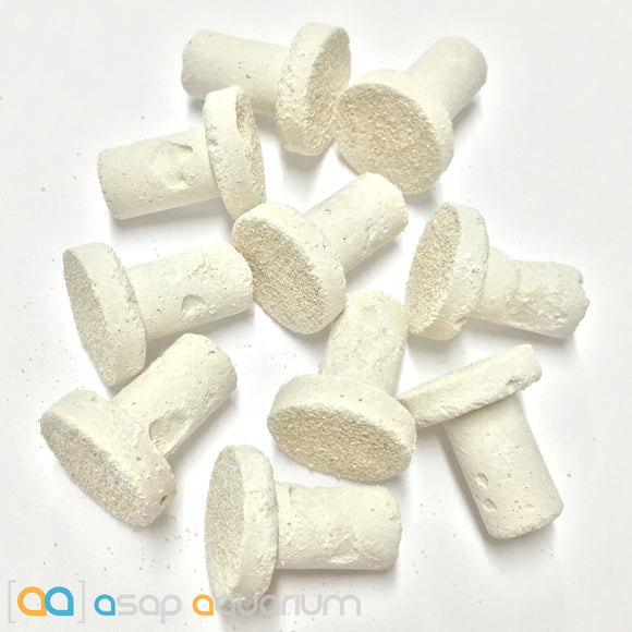 10 Frag Plugs Cured for Live Coral Propagation - www.ASAP-Aquarium.com