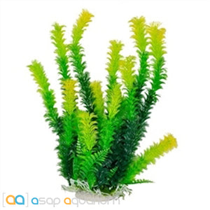 AquaTop 12" Tall Green with Yellow Tips Plant Aquarium Decor - www.ASAP-Aquarium.com