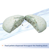 Aqueon 7-Day Fish Food Feeder - www.ASAP-Aquarium.com