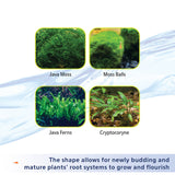 Aqueon Plant and Shrimp Aquarium Substrate - www.ASAP-Aquarium.com