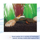 Aqueon Plant and Shrimp Aquarium Substrate - www.ASAP-Aquarium.com