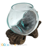 Betta Fish Bowl Unique Molten Glass on Teak Driftwood A110 - www.ASAP-Aquarium.com