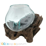 Betta Fish Bowl Unique Molten Glass on Teak Driftwood A110 - www.ASAP-Aquarium.com