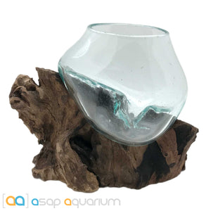 Betta Fish Bowl Unique Molten Glass on Teak Driftwood A110 - www.ASAP-Aquarium.com