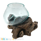 Betta Fish Bowl Unique Molten Glass on Teak Driftwood A110 - www.ASAP-Aquarium.com