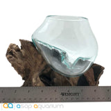 Betta Fish Bowl Unique Molten Glass on Teak Driftwood A110 - www.ASAP-Aquarium.com
