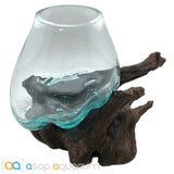 Betta Fish Bowl Unique Molten Glass on Teak Driftwood M214 - www.ASAP-Aquarium.com