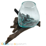 Betta Fish Bowl Unique Molten Glass on Teak Driftwood M214 - www.ASAP-Aquarium.com