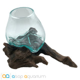 Betta Fish Bowl Unique Molten Glass on Teak Driftwood M214 - www.ASAP-Aquarium.com