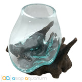 Betta Fish Bowl Unique Molten Glass on Teak Driftwood M214 - www.ASAP-Aquarium.com
