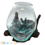 Betta Fish Bowl Unique Molten Glass on Teak Driftwood M214 - www.ASAP-Aquarium.com