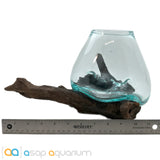 Betta Fish Bowl Unique Molten Glass on Teak Driftwood M214 - www.ASAP-Aquarium.com