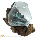 Betta Fish Bowl Unique Molten Glass on Teak Driftwood M215 - www.ASAP-Aquarium.com