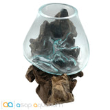 Betta Fish Bowl Unique Molten Glass on Teak Driftwood M215 - www.ASAP-Aquarium.com