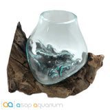 Betta Fish Bowl Unique Molten Glass on Teak Driftwood M215 - www.ASAP-Aquarium.com