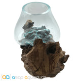 Betta Fish Bowl Unique Molten Glass on Teak Driftwood M215 - www.ASAP-Aquarium.com
