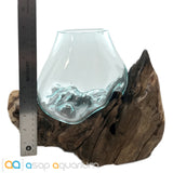 Betta Fish Bowl Unique Molten Glass on Teak Driftwood M215 - www.ASAP-Aquarium.com