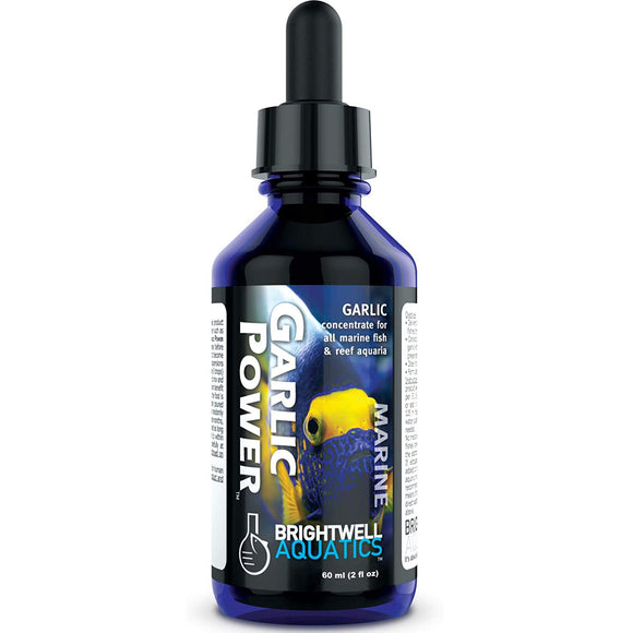 Brightwell Aquatics Garlic Power 60mL - www.ASAP-Aquarium.com