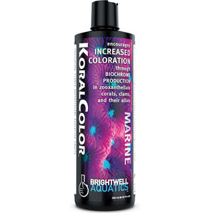 Brightwell Aquatics KoralColor 250mL - www.ASAP-Aquarium.com