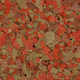 Ocean Nutrition Cichlid Omni Flakes 154 grams (5.5 oz) - www.ASAP-Aquarium.com