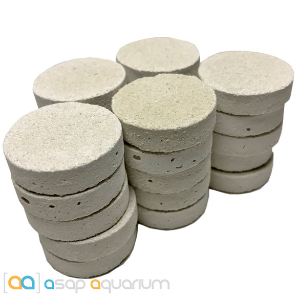 25 Reef Frag Discs Cured for Live Coral Propagation - www.ASAP-Aquarium.com