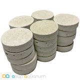 25 Reef Frag Discs Cured for Live Coral Propagation - www.ASAP-Aquarium.com