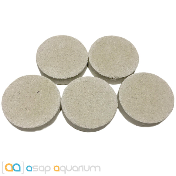 5 Reef Frag Discs Cured for Live Coral Propagation - www.ASAP-Aquarium.com