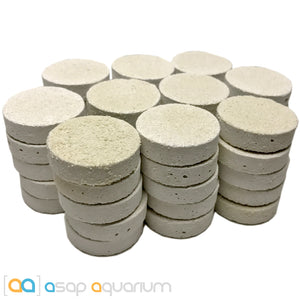 50 Reef Frag Discs Cured for Live Coral Propagation - www.ASAP-Aquarium.com