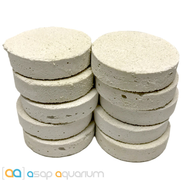 10 LARGE Reef Frag Discs Cured for Live Coral Propagation - www.ASAP-Aquarium.com