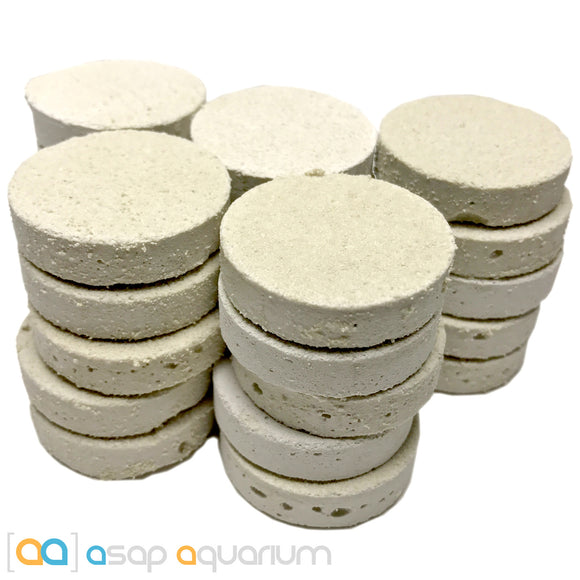 25 LARGE Reef Frag Discs Cured for Live Coral Propagation - www.ASAP-Aquarium.com