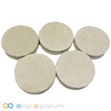 5 LARGE Reef Frag Discs Cured for Live Coral Propagation - www.ASAP-Aquarium.com