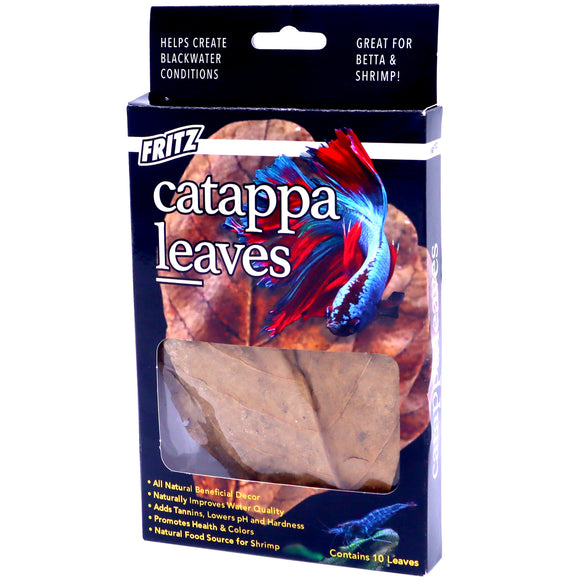 Fritz Catappa Leaves 10 pack - www.ASAP-Aquarium.com