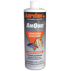 Kordon AmQuel 16 oz - www.ASAP-Aquarium.com