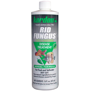 Kordon Rid Fungus 16 oz - www.ASAP-Aquarium.com