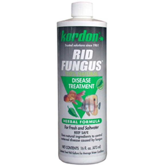 Kordon Rid Fungus 16 oz - www.ASAP-Aquarium.com