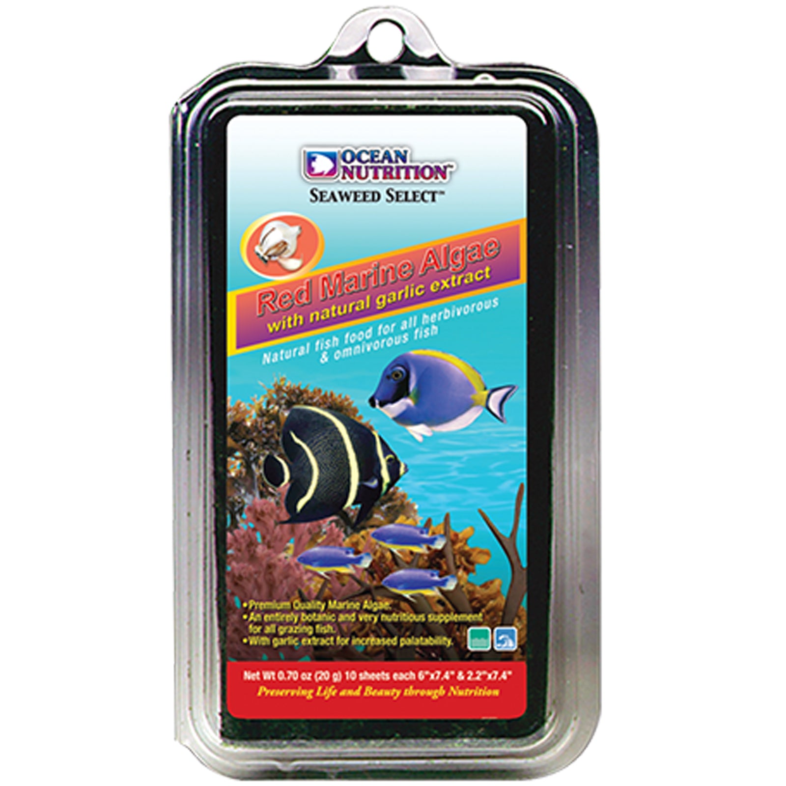 Marine angelfish food top