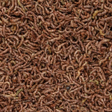 San Francisco Bay Brand Bloodworms Freeze Dried 0.25 oz - www.ASAP-Aquarium.com