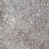 San Francisco Bay Brand Brine Shrimp Hatch Mix 3 pack - www.ASAP-Aquarium.com